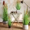 VNABO Fake Trees Ornamentsartificial Trees Cattails Greeneryartificial Floor Plants Home Office Farmhouse Garden Decor Faux Tree Elegant and Portable view 3