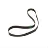 GLOB PRO SOLUTIONS W10116215 2118282 W10248068 W10388418 CKD6005 Drive Belt view 2