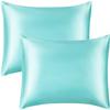 Oversized Queen Comforter Satin Silk 1 PC Aqua Blue 600 GSM Comforter for Oversized Queen Size Bed view 2