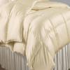 Oversized Queen Comforter Satin Silk 1 PC Ivory 600 GSM Comforter for Oversized Queen Size Bed view 1