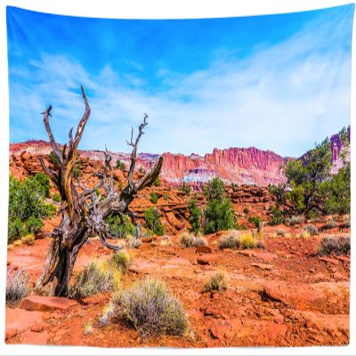 BELECO 118x96 Inch Grand Canyon Tapestry Wall Hanging Red Rock Canyon Desert Tapestry American Western Desert National Park Scenery Utah Wall Decor Western Tapestries for Bedroom Living Room DormDecor