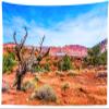 BELECO 118x96 Inch Grand Canyon Tapestry Wall Hanging Red Rock Canyon Desert Tapestry American Western Desert National Park Scenery Utah Wall Decor Western Tapestries for Bedroom Living Room DormDecor view 1