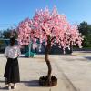DEKIST Simulation Cherry Blossom Tree, Pink Fishing Artificial Plant Cherry Blossom Tree Home Decoration Wedding Valentine's Day Festival Fake Tree 2.52.5m view 1