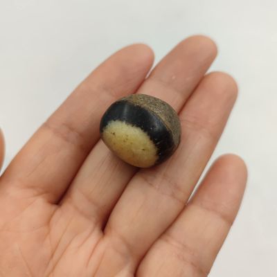 1pc Natural Dragon Tumbled Stones Quartz Crystal Polished Gemstone Mineral Specimen Home Room Decoration