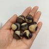 1pc Natural Dragon Tumbled Stones Quartz Crystal Polished Gemstone Mineral Specimen Home Room Decoration view 4