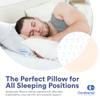 Continental Bedding 50/50 Down Feather Pillow, Fluffy Hotel Quality Side Sleeper Support, Breathable 300TC Cotton, RDS and Oeko TEX Certified view 4