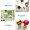 Zerodeko Modern Window Plant Holder Acrylic Suction Cup Bonsai Rack Room Wall Shelves view 2