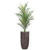 62.25'' Glow in The Dark Fake Palm Tree in a fiberstone Planter view 1