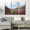 3 Pieces American Soccer Canvas Wall Art, Cincinnati Sport Stadium Art Print for Wall Decor, Football Paul Brown Stadium Posters Gift for Men Boys Room Wall Decorations Framed Ready to Hang 28x42 in view 4