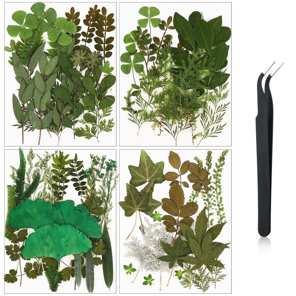 Nuanchu Dried Leaves Bulk Greenery Pressed Leaves for Crafts Resin Mold Scrapbooking Candle Making DIY Assorted Natural Decoration with Tweezer