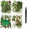 Nuanchu Dried Leaves Bulk Greenery Pressed Leaves for Crafts Resin Mold Scrapbooking Candle Making DIY Assorted Natural Decoration with Tweezer view 1
