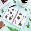Nuanchu Dried Leaves Bulk Greenery Pressed Leaves for Crafts Resin Mold Scrapbooking Candle Making DIY Assorted Natural Decoration with Tweezer view 2