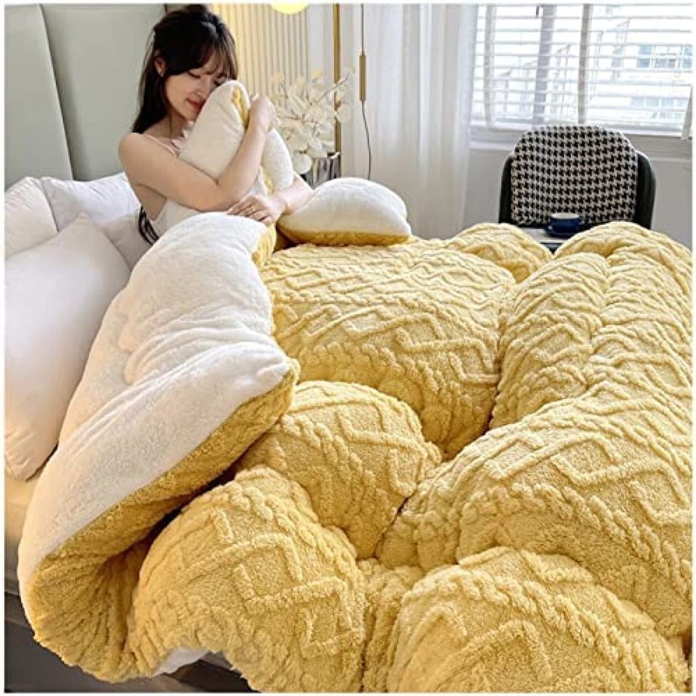 Pealihuy Velvet Fabric Winter Quilt, Warm Cashmere Quilt Breathable Duvet Single Double,Wool Autumn and Winter Thickened Warm Gift Quilt,On5,200x230cm - 4KG