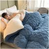 Pealihuy Velvet Fabric Winter Quilt, Warm Cashmere Quilt Breathable Duvet Single Double,Wool Autumn and Winter Thickened Warm Gift Quilt,On5,200x230cm - 4KG view 2