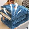 Pealihuy Velvet Fabric Winter Quilt, Warm Cashmere Quilt Breathable Duvet Single Double,Wool Autumn and Winter Thickened Warm Gift Quilt,On5,200x230cm - 4KG view 4