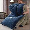 Pealihuy Thick Lamb Velvet Fabric Winter Quilt, Bedding Winter Quilt Snowflake Velvet Quilt Thickened Warmth Lamb Velvet Winter Quilt Double-Sided Fleece,Blue,150x200cm- 2.5KG view 1