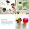 Zerodeko Suction Cup Plant Shelf Clear Acrylic Window Shelf for Bonsai Potted Plants Herbs and Aquarium Plants Transparent Load-Bearing Bracket for Smooth Surfaces 2 Pack view 3