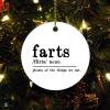 Christmas Ceramic Ornament Definition Noun Holiday Present Farts Holiday Ornament for Home Christmas Tree Decor view 1