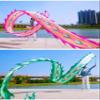 Square Exercise Dance Outdoor Flinging Fitness Dragon POI Wu Long 3D Real-Like Dragon Ribbon Streamer Set (26.2ft, Pink Phoenix) view 2