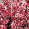 Large Artificial Cherry Blossom Tree, Artificial Peach Blossom Tree Artificial Plant Suitable for Indoor and Outdoor, Home Decoration Wishing Tree 2.5*2m/8.2*6.5ft view 3