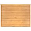 BambooMN Organic Bamboo Serving Tray, Vanity, Appetizers, Snacks, Desserts, Charcuterie Boards, 17"x13"x0.75" - 30 Trays view 1