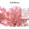 DEKIST Artificial Cherry Blossom Flowers for Home Wedding Party Garden Office Decoration Silk Plants, Big Tree Fake Vines Flowers 1.8 * 1m/5.9 * 3.2ft view 2