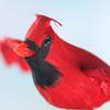 Group of 12 Rich Red Flying Artificial Cardinal Birds with Attached Clip by Factory Direct Craft - Red Birds for Crafting, Christmas Tree Decorating, Nature Displays and Home Dcor | Size: 8" x 7" view 4