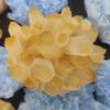 HXSCOO 1pcs Big Size Natural Citrine Quartz Geode Druzy Topaz Crystal Cluster Healing Specimen Home Decoration DIY Crafts Feng (Size : 600-700g) view 1