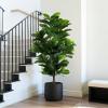 FLOWORLD Fiddle Leaf Fig Tree 6ft Tall Artificial Tree in Plastic Pot Fake Ficus Lyrata Plants with 184 Decorative Fiddle Leaves Faux Fig Trees for Home Office Living Room Decor Indoor Outdoor view 2