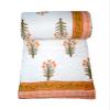 Kantha Bedspread Handmade Green Floral Print Cotton Warm Blanket for Winter Home Decorative Quilt Bedding Throw (Size_108x108 Inch) view 4