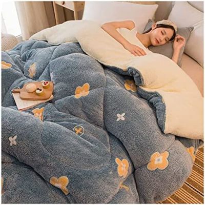 Pealihuy Warm Lamb Quilt Winter Blanket, Winter Quilt, Thicken Warm Lamb Cashmere Blanket Winter, Heavy Blankets for Winter Double Bed,H,220x240cm/5kg