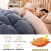Pealihuy Warm Lamb Quilt Winter Blanket, Winter Quilt, Thicken Warm Lamb Cashmere Blanket Winter, Heavy Blankets for Winter Double Bed,H,220x240cm/5kg view 3