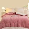 Pealihuy Winter Quilt, Winter Thickened Double-Sided Fleece Quilt Warm Plush Quilt, Bedding Fleece Blanket, Suitable for Household Single Double Quilt,C,220x240cm/5kg view 2