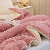 Pealihuy Winter Quilt, Winter Thickened Double-Sided Fleece Quilt Warm Plush Quilt, Bedding Fleece Blanket, Suitable for Household Single Double Quilt,C,220x240cm/5kg view 3