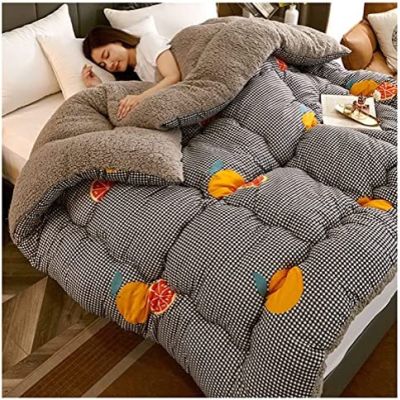 Pealihuy Winter Quilt, Thicken Warm Lamb Cashmere Blanket Winter, Super Warm Lamb Wool, Thickened Warm Plush Comforter Core for Home Bedroom,D,220x240cm/4kg