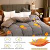 Pealihuy Winter Quilt, Thicken Warm Lamb Cashmere Blanket Winter, Super Warm Lamb Wool, Thickened Warm Plush Comforter Core for Home Bedroom,D,220x240cm/4kg view 3