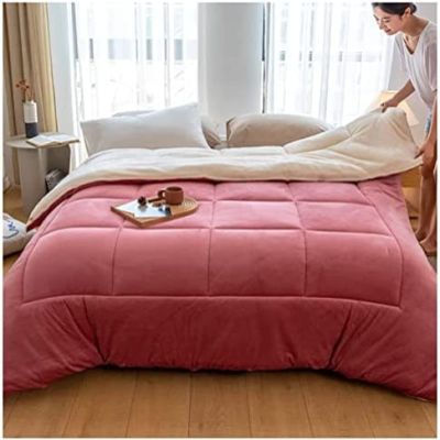 Pealihuy Winter Warm Lamb Velvet Core, Thick Warm Plush Plus Velvet Core Quilt, Double Sided Thicken Winter Quilt,B,150x200cm/2.5kg