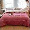 Pealihuy Winter Warm Lamb Velvet Core, Thick Warm Plush Plus Velvet Core Quilt, Double Sided Thicken Winter Quilt,B,150x200cm/2.5kg view 1