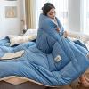 Pealihuy Winter Warm Lamb Velvet Core, Thick Warm Plush Plus Velvet Core Quilt, Double Sided Thicken Winter Quilt,B,150x200cm/2.5kg view 2