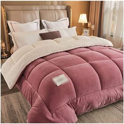 Pealihuy Super Warm Lamb Quilt Winter Quilt Blanket, Winter Thickened Double-Sided Fleece Quilt Warm Plush Quilt, Double-Sided Velvet Quilt,A,200x230cm/5kg