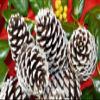 Pinecones for Crafts, 10Pcs White Tipped Painted Pine Cones, Winter Decor, Centerpieces, Tablescapes, Rustic Decorating, Hand Painted Crafts, Christmas Decoration view 2