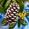 Pinecones for Crafts, 10Pcs White Tipped Painted Pine Cones, Winter Decor, Centerpieces, Tablescapes, Rustic Decorating, Hand Painted Crafts, Christmas Decoration view 3
