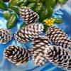 Pinecones for Crafts, 10Pcs White Tipped Painted Pine Cones, Winter Decor, Centerpieces, Tablescapes, Rustic Decorating, Hand Painted Crafts, Christmas Decoration view 4