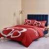 4 Piece Full Romantic Sweet Love Heart Breathable Comforter Covers Ultra Soft Bed Sheet with Decoretive 2 Pillow Shams Bedding Collection Sets Texts on Valentine Red view 4