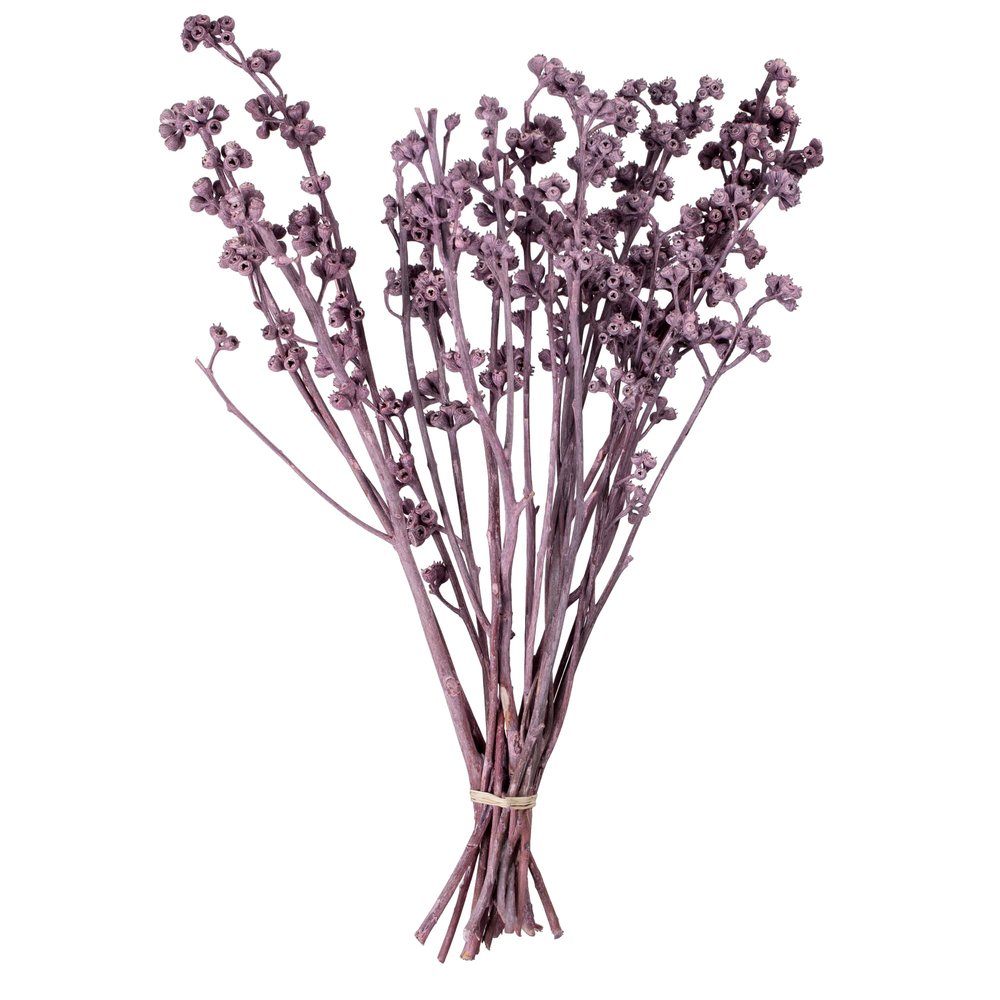 Vickerman Natural Botanicals 13" x 1-3" Red Gum Branch Brombeer Frosted, 14 Stems per Unit