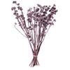 Vickerman Natural Botanicals 13" x 1-3" Red Gum Branch Brombeer Frosted, 14 Stems per Unit view 1