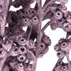 Vickerman Natural Botanicals 13" x 1-3" Red Gum Branch Brombeer Frosted, 14 Stems per Unit view 3