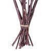 Vickerman Natural Botanicals 13" x 1-3" Red Gum Branch Brombeer Frosted, 14 Stems per Unit view 4