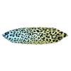 College Covers Animal Print Pillows Decorative Pillow, 16" X 6", Leopard Pastel Gradient/Black view 3