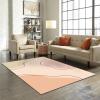 Retro Minimalist Geometric Lines Area Rug, Indoor Non-Slip Kids Rugs, Machine Washable Breathable Durable Carpet for Front Entrance Floor Decor-3x5ft view 4